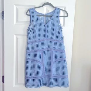 Ivy + blu dress - size 6